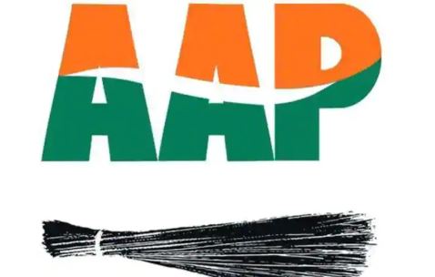 AAP ने की मछलियों की जांच, सामने आई हैरान करने वाली बात, पाया गया फार्मोलिन